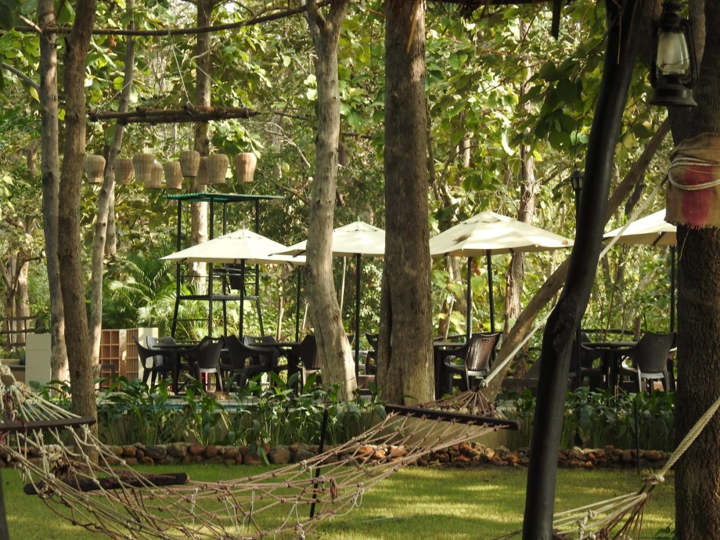 Hammocks under the teak, Ratapani