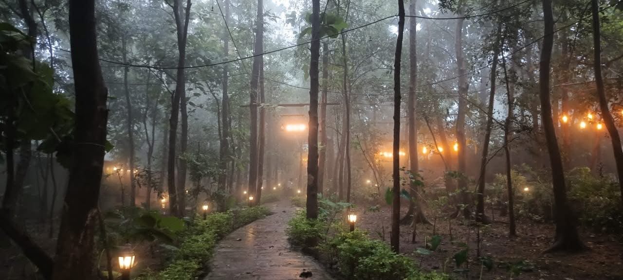 Misty forest path, Ratapani