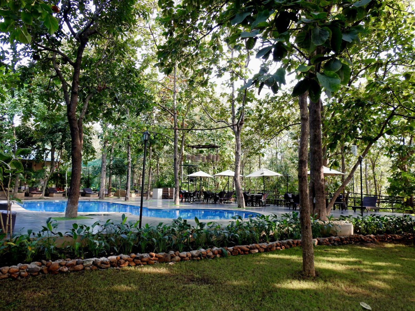 The forest pool, Ratapani